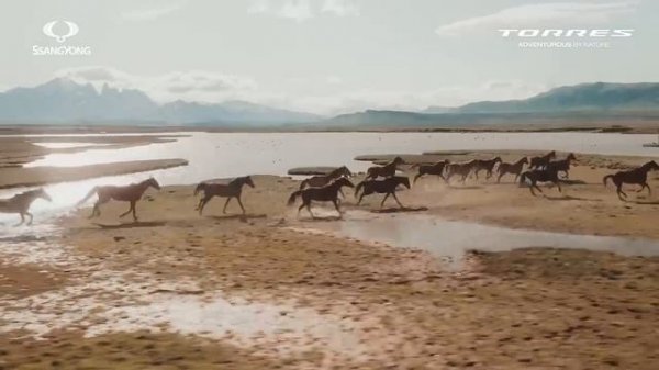 KGM Torres. ОТКРОЙТЕ для себя ВНЕДОРОЖНИК, который бросает ВЫЗОВ горам и рекам!