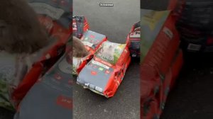 Пока в сети обсуждают мои ногти и волосы. Зоомама