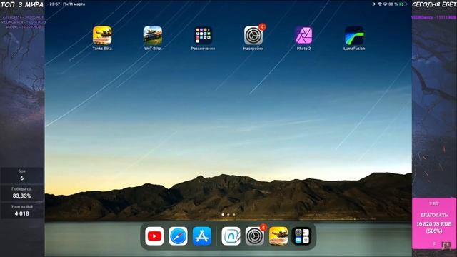 ЛУЧШИЕ МОМЕНТЫ NickAce за 2024, часть 1 | Tanks Blitz