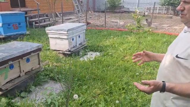 Не даём роиться пчёлам смотреть онлайн