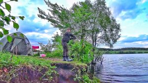 УДОЧКА В ДУГУ, ВЫРЫВАЮТ ТЫЧКИ! ЭТО КАКИЕ-ТО МОНСТРЫ!Рыбалка с ночевкой на крокодил.