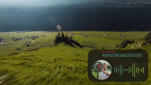 Твоё внимание тебе не принадлежит. Верни руль управле? смотреть онлайн