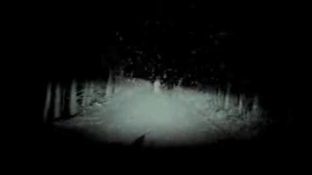 Японский видеорегистратор