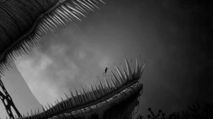 угорь-большерот SILT #1