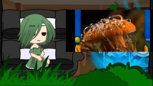 реакция растений на тир-лист растений по их съедобнос?