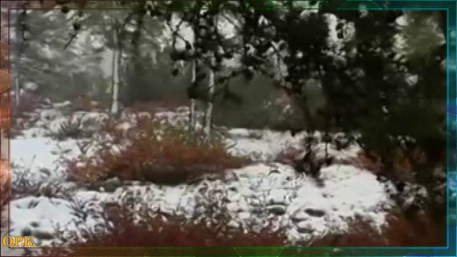 ПЛАЧЬ СКРИПКИ смотреть онлайн