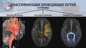 1. ВИДЕОУРОК - ОБЩЕЕ СТРОЕНИЕ И КЛАССИФИКАЦИЯ ПРОВОДЯЩИХ ПУТЕЙ
