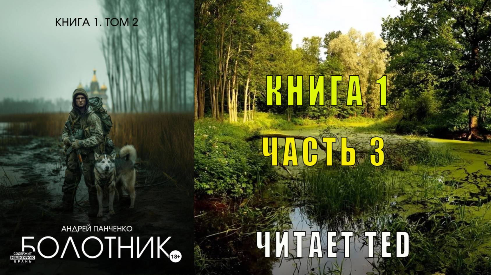 Андрей Панченко "Болотник" (книга 1 часть 3)