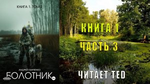 Андрей Панченко "Болотник" (книга 1 часть 3)