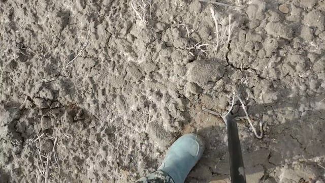 Коп 2019 року з Minelab X-Terra 705!