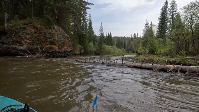 Сплав по реке Базаиха 2024