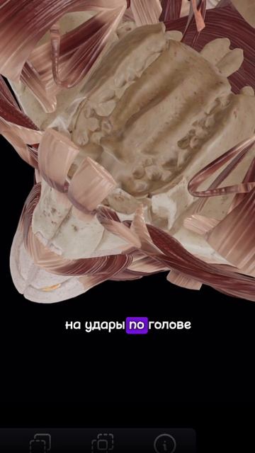 Щитовидная железа часть 2