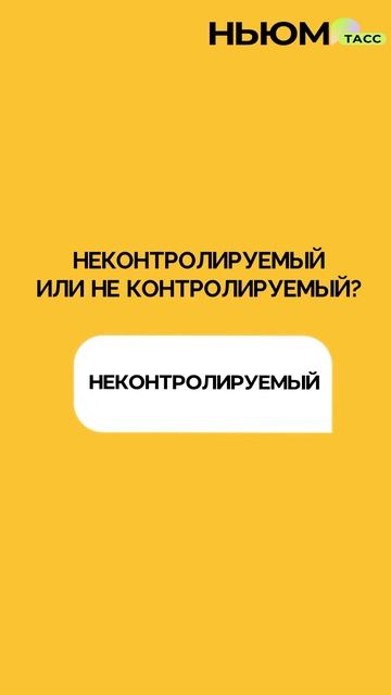 В День русского языка проверим, как хорошо вы знаете великий и могучий! смотреть онлайн