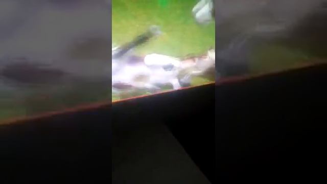 Спирит душа прейрер в симс 3 1# смотреть онлайн
