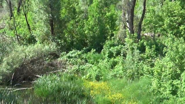 корочанский район сегодня Белгородская Область Июнь 2025 Год Белгород Вести Недели