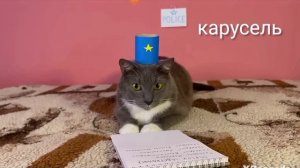 котинет на карусель 😳