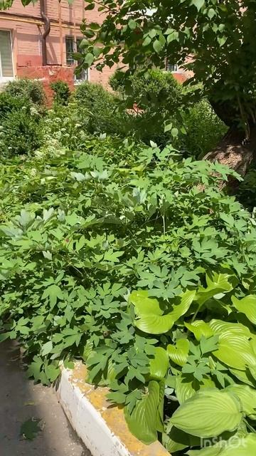 жизнь в Воронеже в 2025 году смотреть онлайн