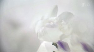 Реклама Коркунов Белая коллекция 2017