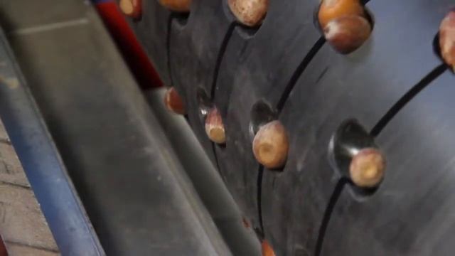 Линия для посева семян Beta 65C