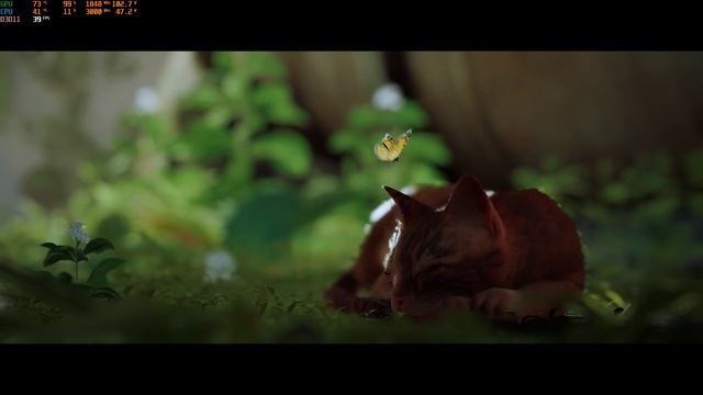 Stray, Xeon 2650 V2 Gtx 1060 6Gb, FullHd, 1920x1080, средне-высокие настройки