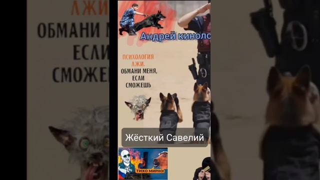 Разнос от Савелия! смотреть онлайн