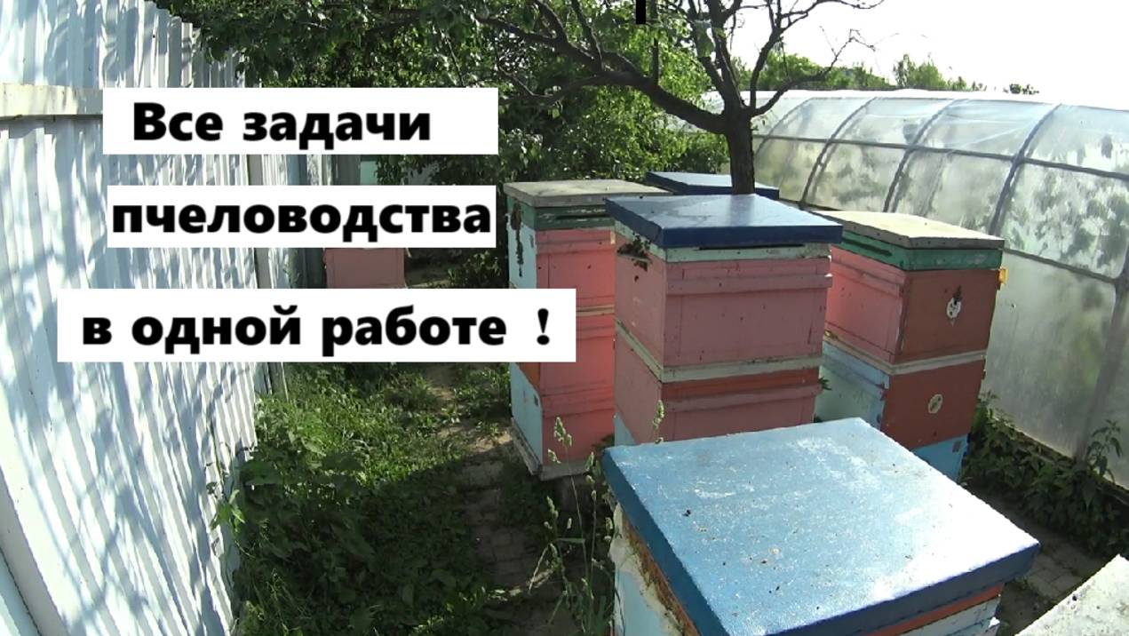 Перестановка корпусов - это не только замена матки. смотреть онлайн