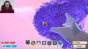 Слайм Ранчер 2: Открыл лучевыми прожекторами 4шт. новый