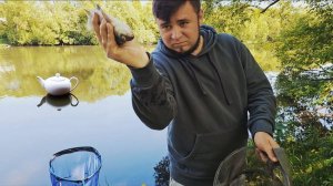 Рыбалка для чайников на фидер в мае в 2025 году, гайд для новичков