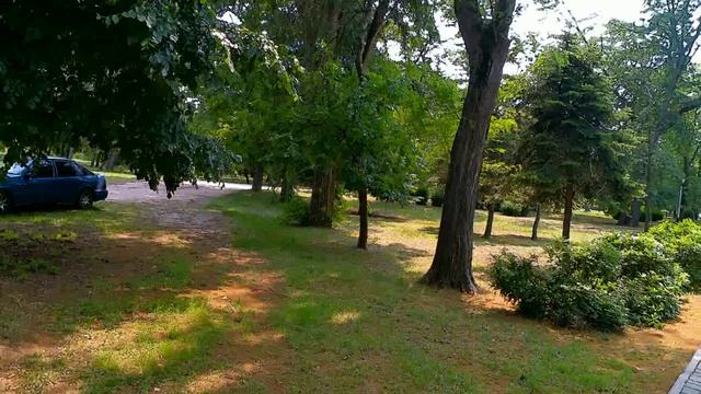 Летний парк Поддубного! Цены на Рынке! смотреть онлайн