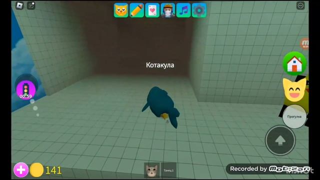 как получить кота акулу в игра с котятоми-роблокс смотреть онлайн
