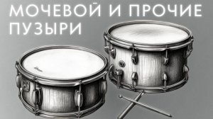 20. Мочевой и прочие пузыри
