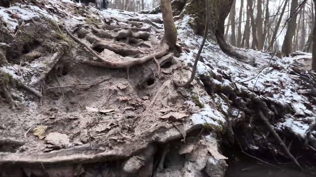 Тест Yikong YK 4107 на бездорожье | Test Drive Yikong 4107 #rccar