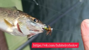 изготовление мушки "оливка"