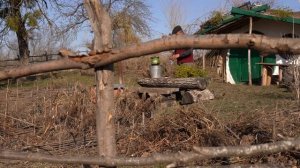 Kənd Həyatı. Простой рецепт кунжутного хлеба