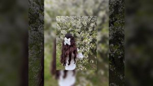 домер — почему || speed up, 1 час