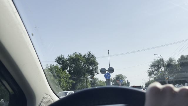 Едем на прогулку в рощу