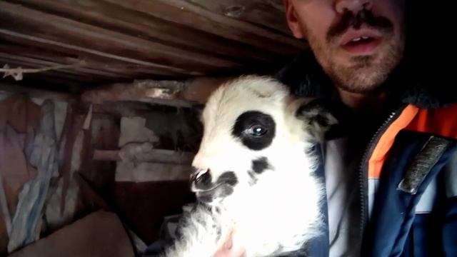 Хутор Вишняковых на связи. Долгое отсутствие, прибавление в семействе , огороды , работа.