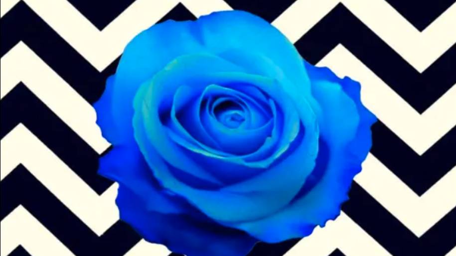 Voodoo4 Found In Water