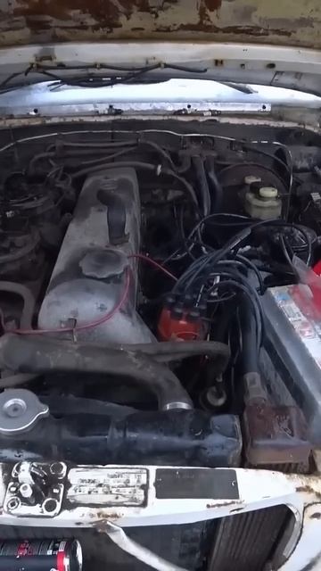 TG: nexpertGM Топливо пошло карбюраторы наполняются! #shorts #оживление #юмор смотреть онлайн