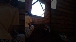 зомби мини фильм квадробика 1часть