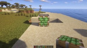 Актуальные дюпы на версии 1.16.5 [2021]