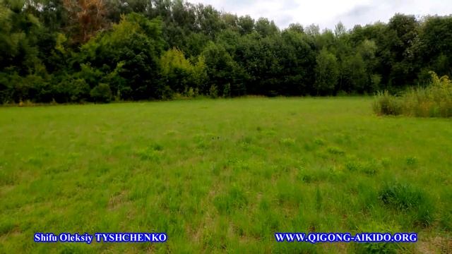 Ван Фу Бао Цигун: 4 Ступінь «Свобода» - Людина-Місце Сил