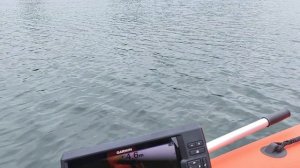 NS Marine 9.8 макс скорость на винте Solas 8 шага. 2 положение трима.