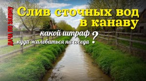 Какой штраф могут назначить дачнику за слив сточных вод в канаву?