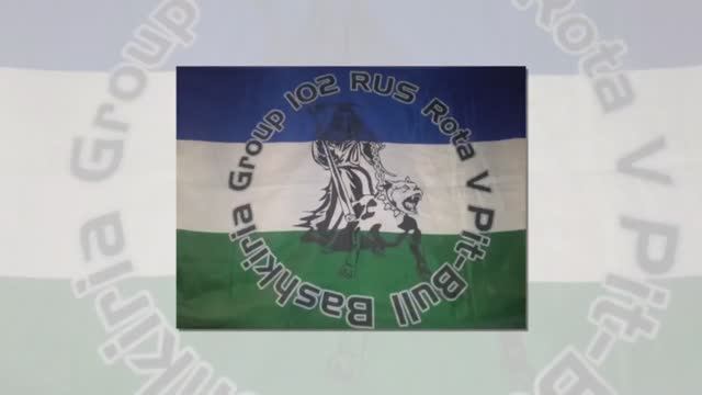 Владимир Курский - "3 ШТУРМОВАЯ РОТА V-ПИТБУЛЬ". Посвящается Памяти Военным Героям России. смотреть онлайн