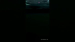 ТОП Птиц с Самыми Странными Звуками #птицы #животные #н