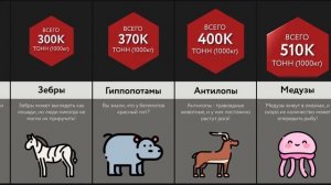 Масса Животных в Мире