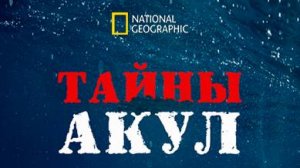 Тайны акул | 50 Shades of Sharks | NAT Geo