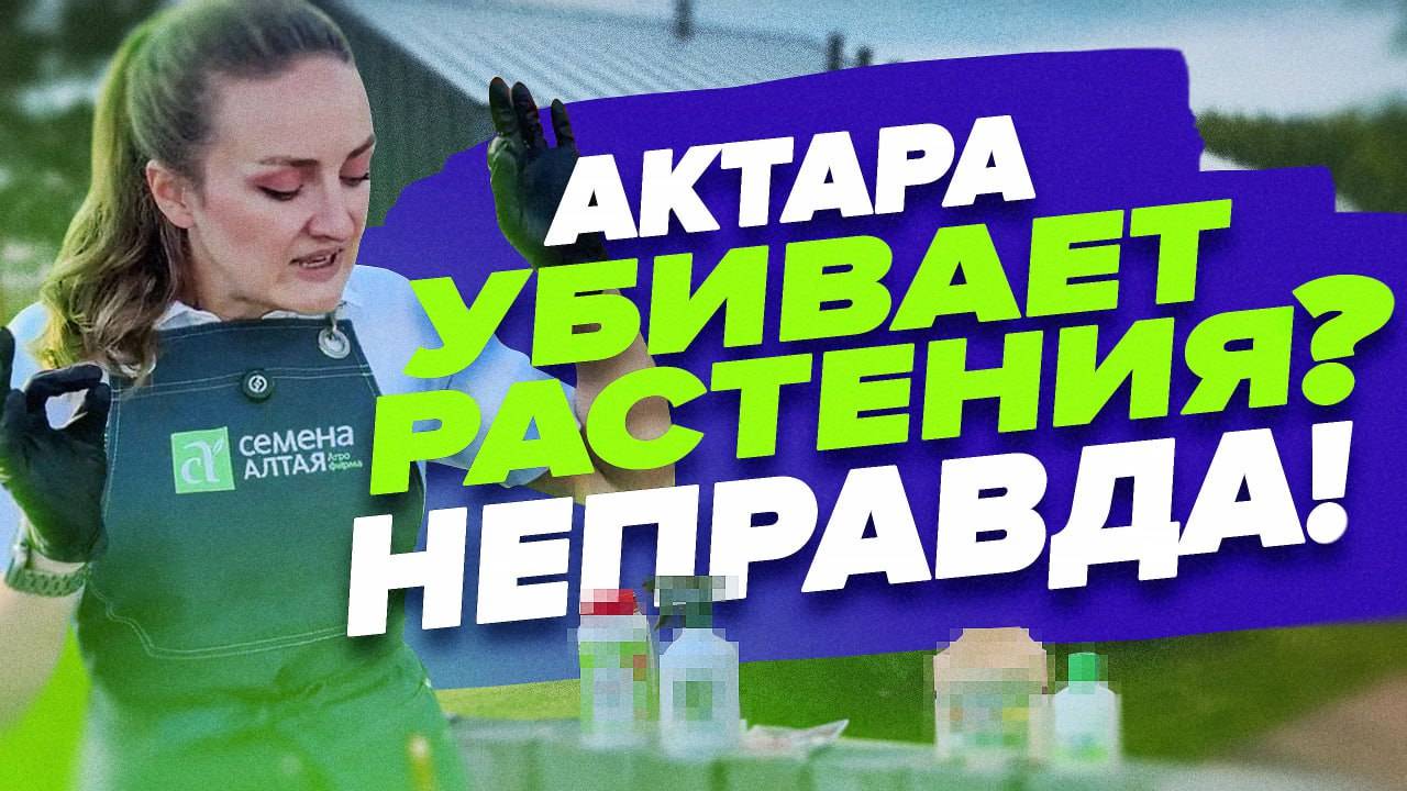 ПРО АКТАРУ смотреть онлайн