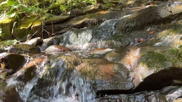 Шум горного ручья. Звон воды. Успокаивающие звуки воды смотреть онлайн